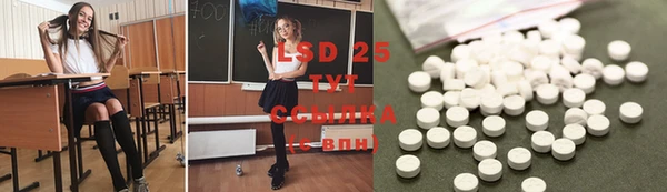 PSILOCYBIN Абаза