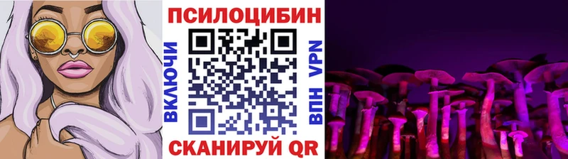 Псилоцибиновые грибы прущие грибы  Владикавказ 
