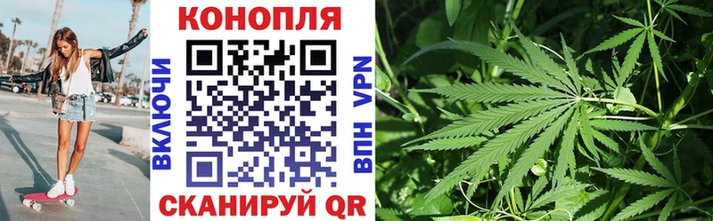 купить   Владикавказ  blacksprut ссылки  Бошки марихуана Amnesia 